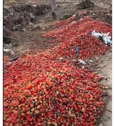 只需正在平安范畴内